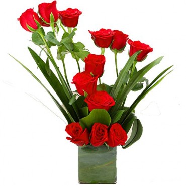 Fresh 12 Red Roses in Glass Vase